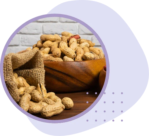 An assortment of peanuts | Palforzia (Peanut) in London and UK