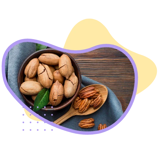 An arrangement of tree nuts