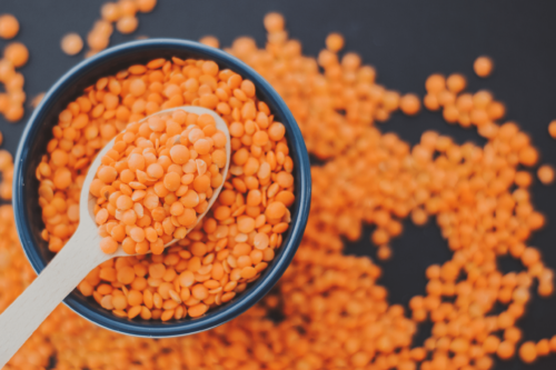 Red Lentil Oral Immunotherapy (OIT)